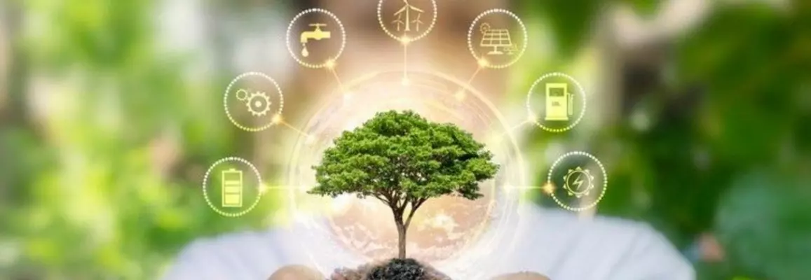5 Eco-Friendly Brands With Excellent Marketing Campaigns